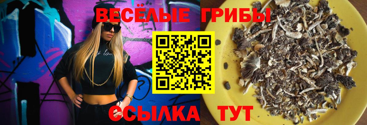 Нягань  Псилоцибиновые грибы мухоморы  Вход с VPN  Псилоцибиновые грибы Psilocybine cubensis 